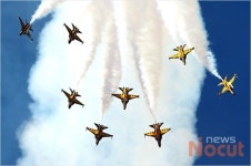 화려한 블랙이글