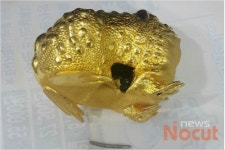 금두꺼비 알고보니 납두꺼비