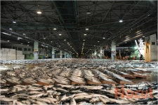 [부산 기업인] 부산공동어시장 이주학 사장 현대화로 제2 도약