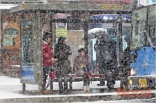 버스 기다리는 시민들