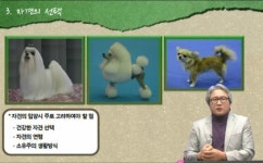 반려견과 행복 동행… 마음부터 나누세요