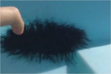 털뭉치가 아니었어! 거미가 드글드글 영상 눈길