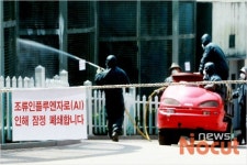 새끼 오리 공급된 전국 농장 굉장히 위험