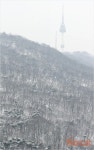남산 설경