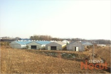 충북 첫 AI 의심신고...농가 불안 최고조