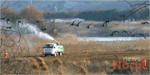 설 앞두고 전남에서 AI 확진·의심 신고 잇따라 (종합)