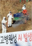 전남도, AI 살처분 3km 보류