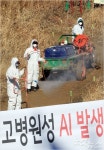 “AI 닭·오리 함부로 죽이지 못한다”···박완주의원 법제화 추진