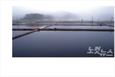 “섬에 남은 염전 노예, 세뇌 당한 듯”