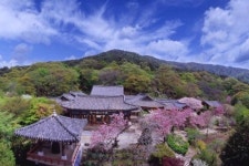 계절마다 새로운 감동을 주는 상서로운 땅 서산