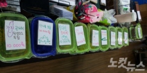 봄철 입맛 확 당기는 바로 그 식당은…장아찌와 나물의 향연