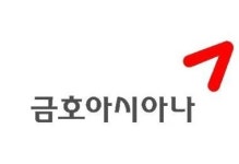 아시아나, 수도권에 제2저가항공 추진