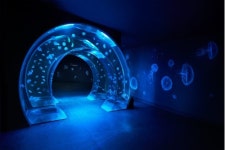 도심 한복판에 바다와 정글이...짜릿한 한화 아쿠아플라넷 일산 오픈