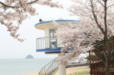 갯내음·꽃향기…봄날이 흐른다