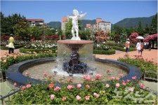 창원시 장미공원 10월 말까지 개장