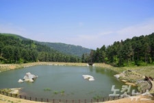 힐링 캠프·별·산촌 찾아 경기도 숲속 여행