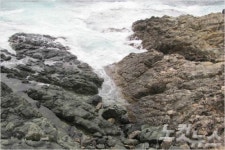 영덕군, 동해안 지질명소 관광활성화를 위한 생활권 선도사업 선정