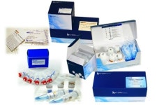 코스모진텍, 국내 생명공학 인프라 앞장선다