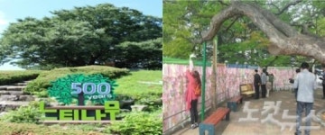 대한민국 경관대상에 느티나무 테마 현풍휴게소 선정