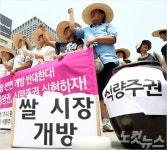 정부, 쌀관세화 선언…내년 1월 쌀시장 완전 개방