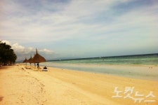 땡처리닷컴, 추석연휴 세부 패키지 여행상품 판매