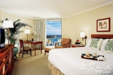 더 로얄 하와이안 호텔, 태평양의 화려한 핑크 궁전