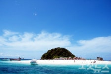 피피섬에서 만나는 영화 더 비치의 아름다운 해변