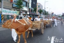 안동 서부시장 안동간고등어축제