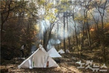 강원도 생태체험 관광 활성화를 위한 어린이 캠프 개최