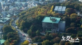 울긋불긋 물든 남산
