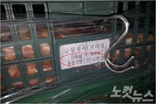 하림 등 닭오리 가공업체, 축산물 위생 관리 엉망