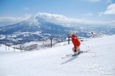 설질(雪質) 남다른 일본 니세코 스키·온천 여행