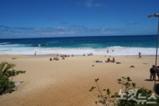 허니문 스냅 촬영하기 좋은 하와이 명소