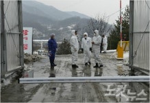 충북 구제역 발생 농가 15곳으로 늘어