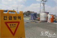 구제역, 전국으로 확산… 이동제한 조치
