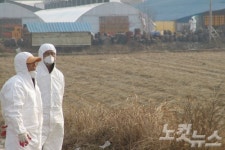 부산 강서구 농장서 AI 발병