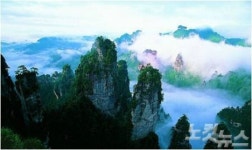 황석채가 없는 장가계는 없다