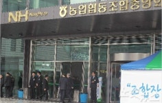 농민들이 피땀흘려 번 돈, 농협 배만 불려