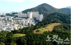 연산동 고분군, 국가지정문화재 추진