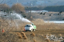 충북 AI 양성 농가 6곳으로 늘어