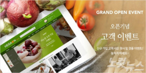 해가온, 해가온 온라인 쇼핑몰 리뉴얼 오픈