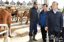 경주가축시장 구제역 발생 1달 만에 재개장