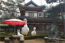 나른한 봄 좋다…오리돌판구이와 누룽지의 절묘한 콜라보