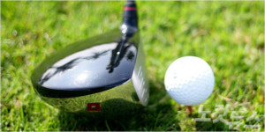 무엇이 우드(wood) 를 잘치게 만들어 주는가?