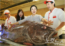 메가마트, 바다의 날 수산물 40% 할인 판매