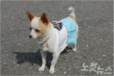 경찰서 정문 지키는 犬公, 의무경찰보다 높은 경사