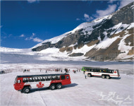 세계로여행사와 에어캐나다가 함께 한 캐나다 자유여행