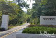 청주 상당산성 옛길 아스팔트 존치…황당한 설문조사?