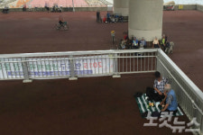 남항대교 수변광장, 대낮부터 '술판에 도박판'