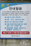 남항대교 수변광장, 대낮부터 '술판에 도박판'